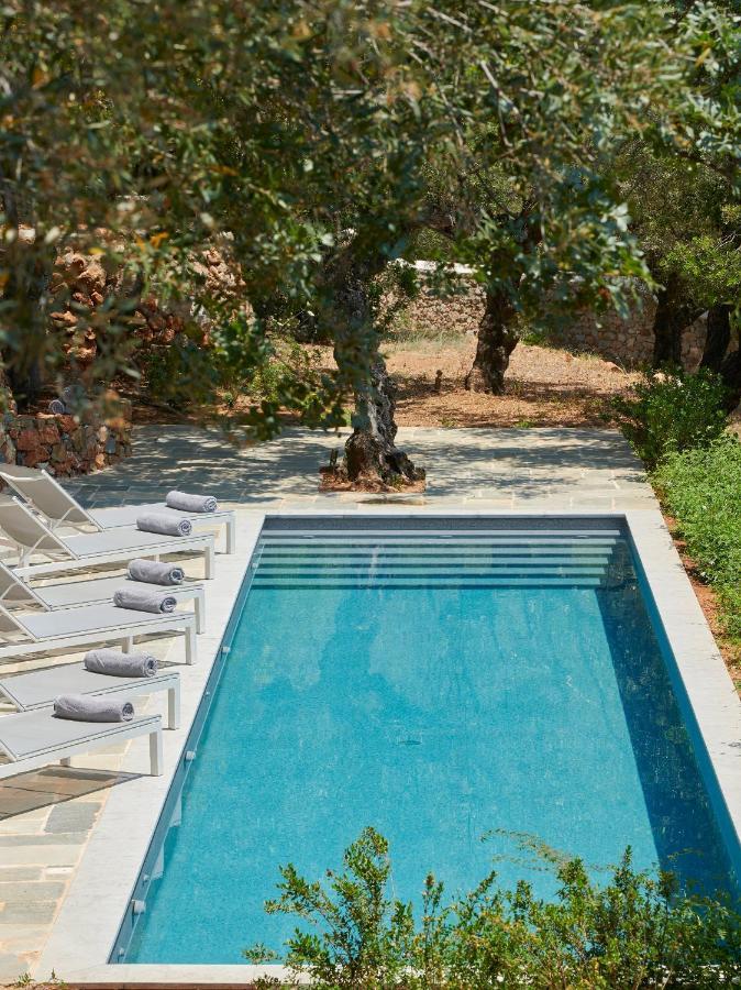 Patrick & Joan Leigh Fermor House Bed & Breakfast Kardhamili Bagian luar foto